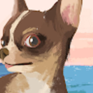 Meet your Posher, Gracie